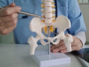hip replacement in indore